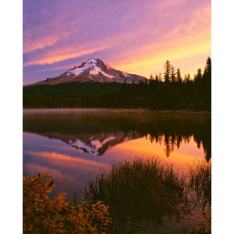 Mt. Hood XVI Gold Ornate Wood Framed Art Print with Double Matting by Leahy, Ike