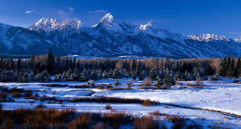 Grand Teton National Park XVI White Modern Wood Framed Art Print with Double Matting by Leahy, Ike