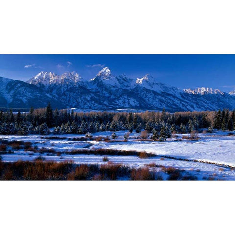 Grand Teton National Park XVI Gold Ornate Wood Framed Art Print with Double Matting by Leahy, Ike