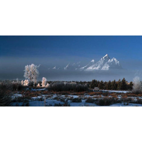 Grand Teton National Park XVII Black Modern Wood Framed Art Print by Leahy, Ike