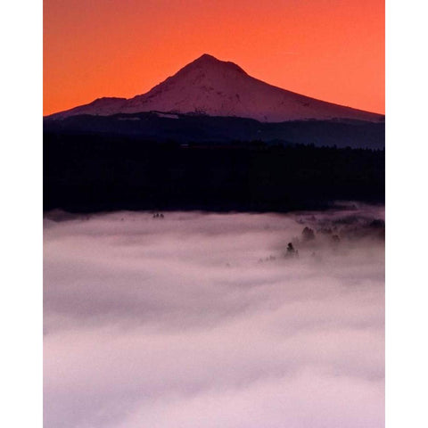 Mt. Hood XX Gold Ornate Wood Framed Art Print with Double Matting by Leahy, Ike
