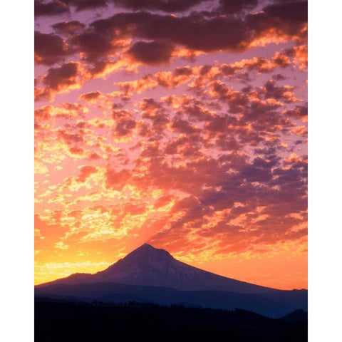 Mt. Hood XXII Black Modern Wood Framed Art Print by Leahy, Ike