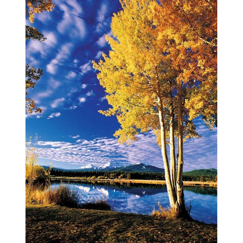 Sisters in Autumn II Black Modern Wood Framed Art Print with Double Matting by Leahy, Ike