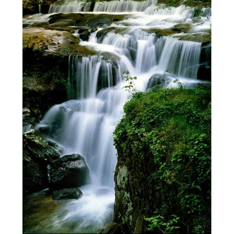 Lost Creek Falls White Modern Wood Framed Art Print by Leahy, Ike