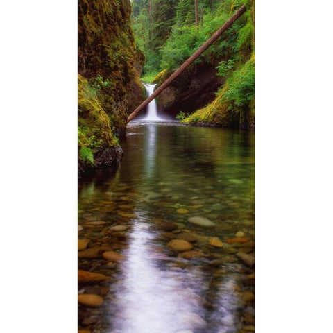 Punch Bowl Falls Gold Ornate Wood Framed Art Print with Double Matting by Leahy, Ike