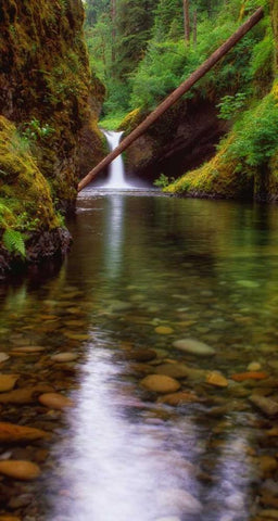 Punch Bowl Falls Black Ornate Wood Framed Art Print with Double Matting by Leahy, Ike