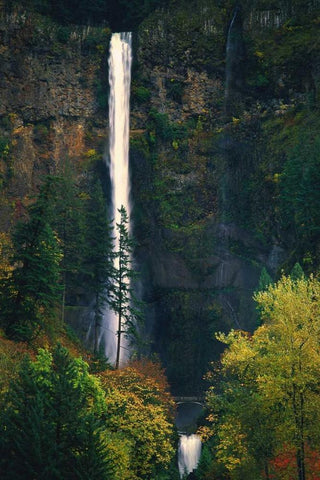 Multnomah Falls Autumn White Modern Wood Framed Art Print with Double Matting by Leahy, Ike