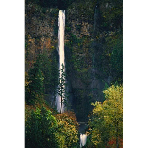 Multnomah Falls Autumn Gold Ornate Wood Framed Art Print with Double Matting by Leahy, Ike