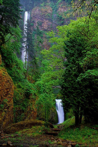 Multnomah Falls Spring Black Ornate Wood Framed Art Print with Double Matting by Leahy, Ike