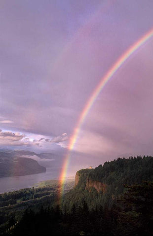 Columbia River Gorge VII Black Ornate Wood Framed Art Print with Double Matting by Leahy, Ike