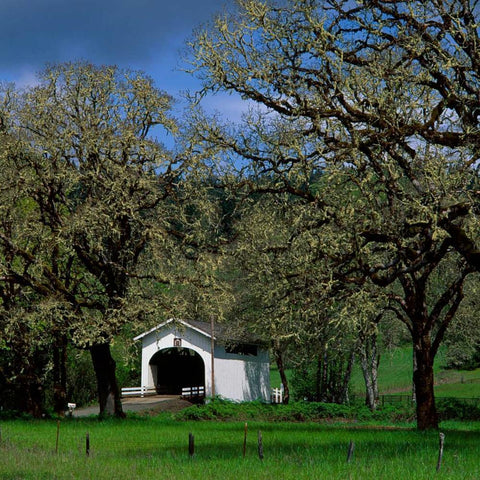 Harris Covered Bridge Black Modern Wood Framed Art Print by Leahy, Ike