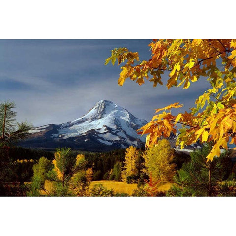 Mt. Hood Parkdale Gold Ornate Wood Framed Art Print with Double Matting by Leahy, Ike