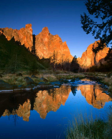 Smith Rock Vertical Black Ornate Wood Framed Art Print with Double Matting by Leahy, Ike