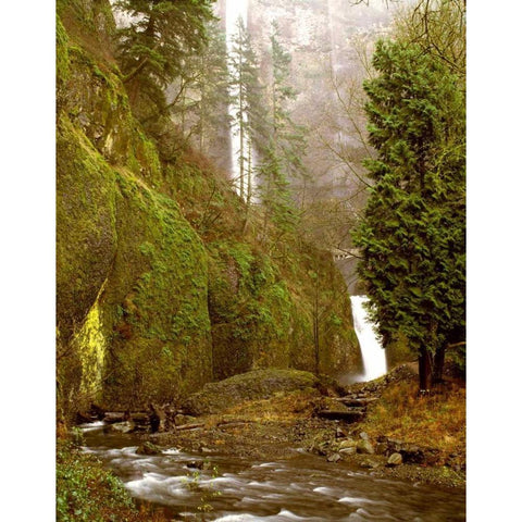 Multnomah Falls Creek Side Black Modern Wood Framed Art Print with Double Matting by Leahy, Ike