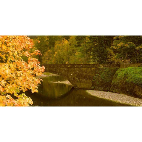 Stone Bridge White Modern Wood Framed Art Print by Leahy, Ike