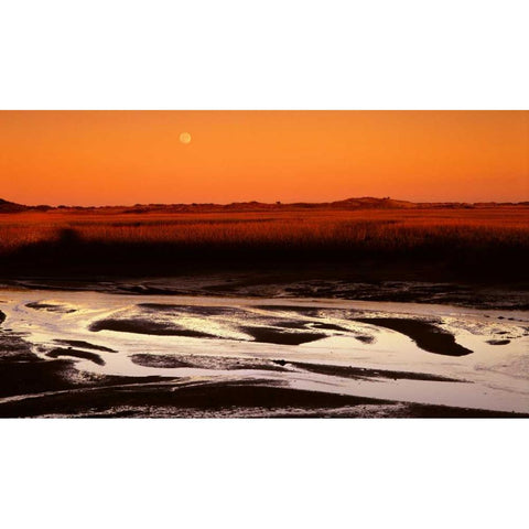 Moonrise Estuary White Modern Wood Framed Art Print by Leahy, Ike