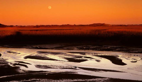 Moonrise Estuary Black Ornate Wood Framed Art Print with Double Matting by Leahy, Ike