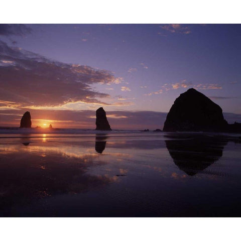 Haystack Rock II Gold Ornate Wood Framed Art Print with Double Matting by Leahy, Ike