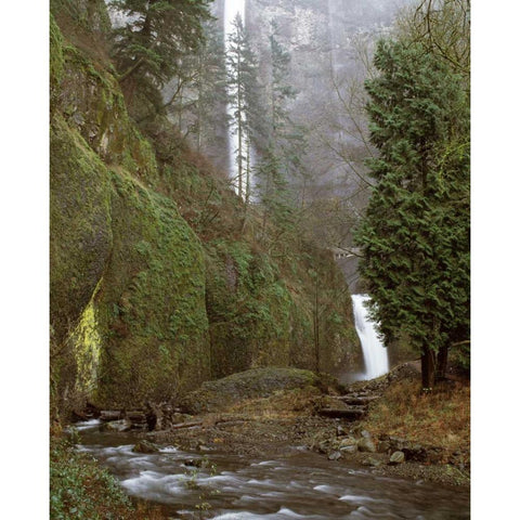 Multnomah Falls Creek Side II Black Modern Wood Framed Art Print with Double Matting by Leahy, Ike