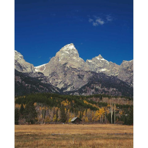 Cabin and Grand Teton Gold Ornate Wood Framed Art Print with Double Matting by Leahy, Ike