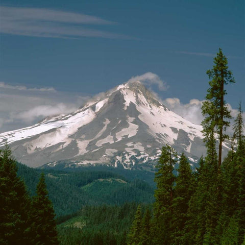 Mt. Hood East Side Black Ornate Wood Framed Art Print with Double Matting by Leahy, Ike