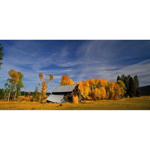 Old Barn Gold Ornate Wood Framed Art Print with Double Matting by Leahy, Ike