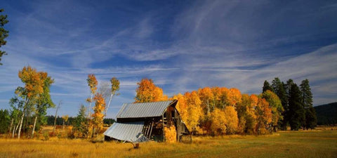 Old Barn White Modern Wood Framed Art Print with Double Matting by Leahy, Ike