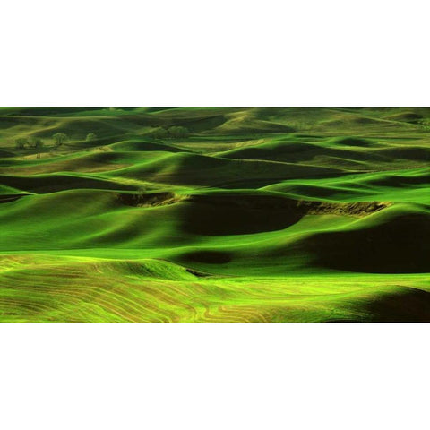 Palouse Green Black Modern Wood Framed Art Print with Double Matting by Leahy, Ike