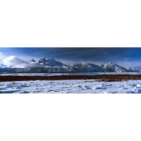 Grand Tetons Winter Gold Ornate Wood Framed Art Print with Double Matting by Leahy, Ike