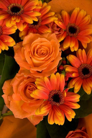 Summer Bouquet III White Modern Wood Framed Art Print with Double Matting by Love, Maureen