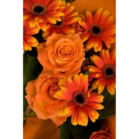 Summer Bouquet III Gold Ornate Wood Framed Art Print with Double Matting by Love, Maureen