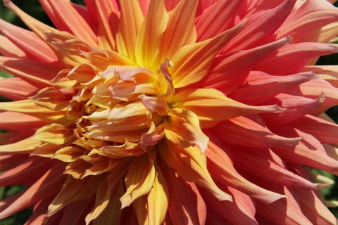 Warm Sun I White Modern Wood Framed Art Print with Double Matting by Love, Maureen