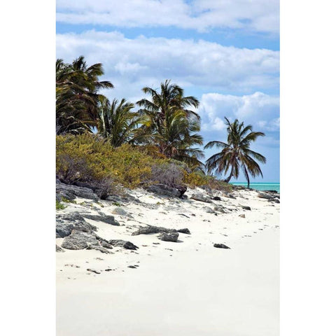 Schooner Cay Coastline White Modern Wood Framed Art Print by Malvin, Larry