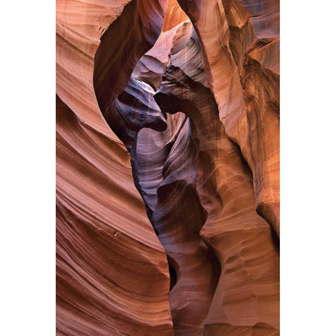 Upper Antelope I Gold Ornate Wood Framed Art Print with Double Matting by Malvin, Larry