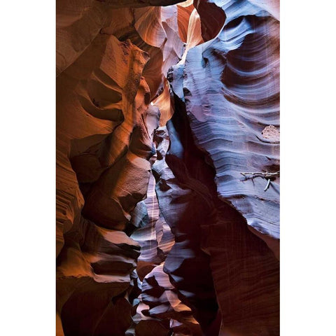 Upper Antelope II White Modern Wood Framed Art Print by Malvin, Larry