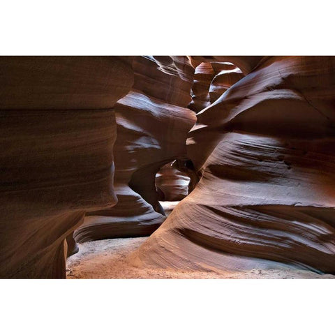 Upper Antelope V Gold Ornate Wood Framed Art Print with Double Matting by Malvin, Larry