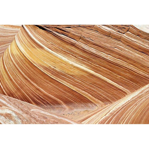 Wave Closeup Gold Ornate Wood Framed Art Print with Double Matting by Malvin, Larry