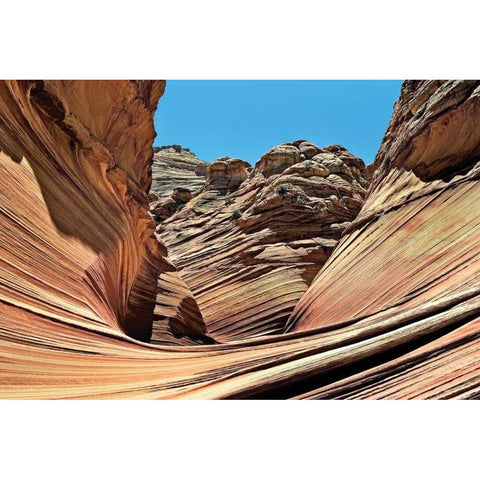 Wave Entrance Gold Ornate Wood Framed Art Print with Double Matting by Malvin, Larry