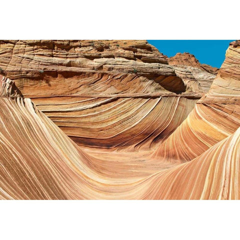 Wave Walls Black Modern Wood Framed Art Print with Double Matting by Malvin, Larry