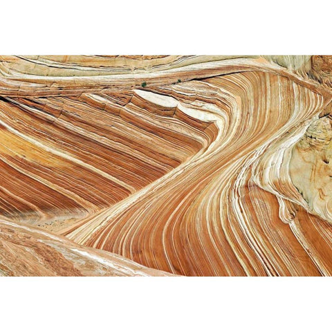 Wave Swirls Black Modern Wood Framed Art Print with Double Matting by Malvin, Larry