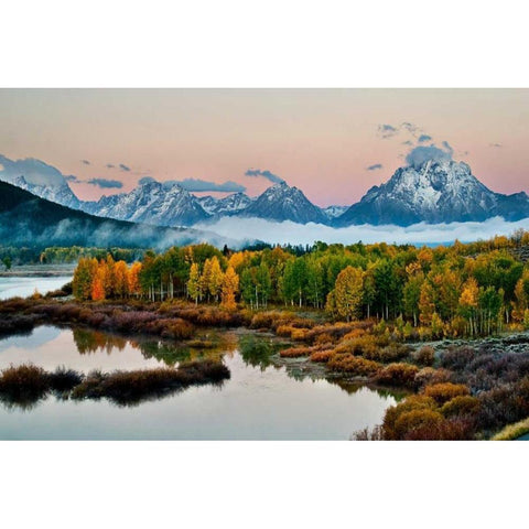 Fog Above Oxbow Bend Gold Ornate Wood Framed Art Print with Double Matting by Malvin, Larry