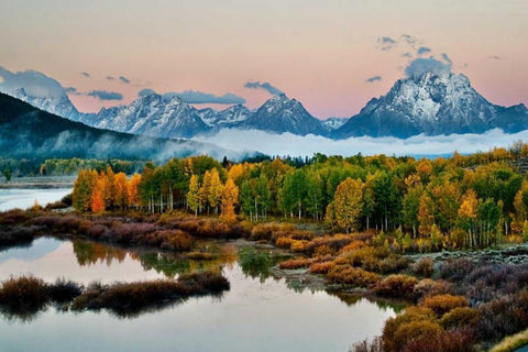 Fog Above Oxbow Bend Black Ornate Wood Framed Art Print with Double Matting by Malvin, Larry