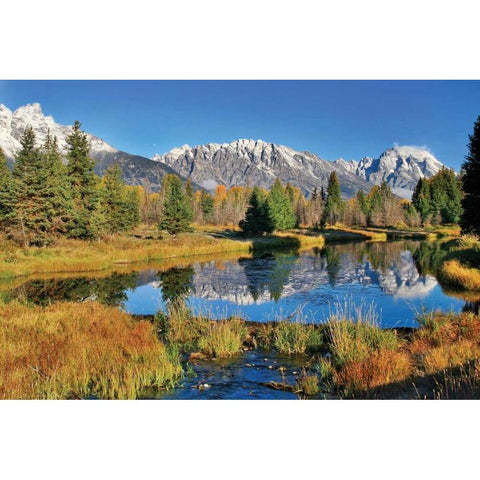Schwabacher Pond Gold Ornate Wood Framed Art Print with Double Matting by Malvin, Larry