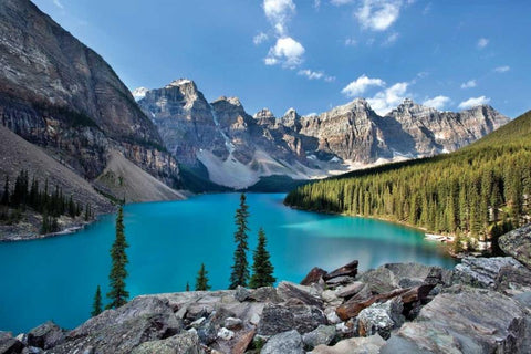 Moraine Lake II Black Ornate Wood Framed Art Print with Double Matting by Malvin, Larry