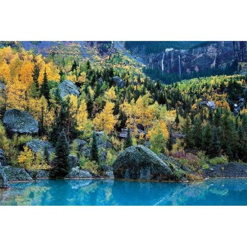 Bridal Veil I Gold Ornate Wood Framed Art Print with Double Matting by Malvin, Larry