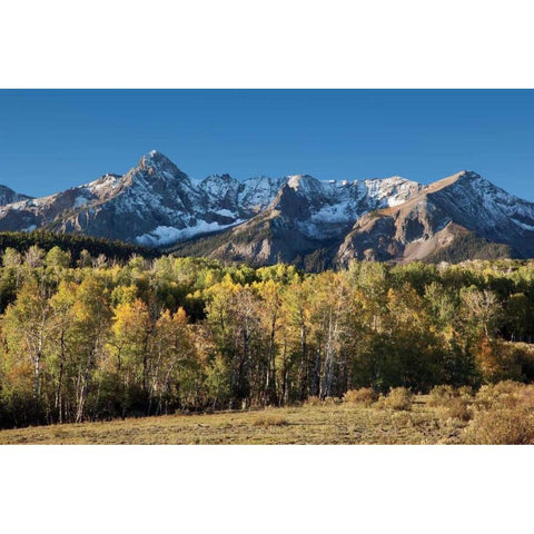Sneffles Range Dallas Divide White Modern Wood Framed Art Print by Malvin, Larry