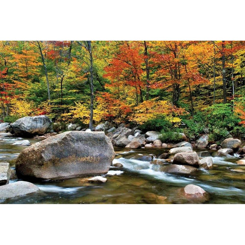 Swift River Pass Scenic White Modern Wood Framed Art Print by Malvin, Larry