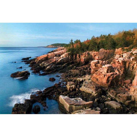 Acadia Coastline Black Modern Wood Framed Art Print by Malvin, Larry