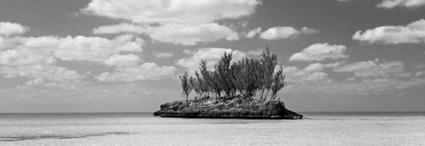 Gaulding Cay Conch BW Panel White Modern Wood Framed Art Print with Double Matting by Malvin, Larry