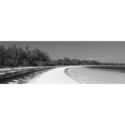 Winding Bay II BW Panel Gold Ornate Wood Framed Art Print with Double Matting by Malvin, Larry